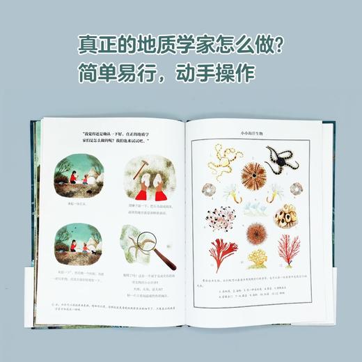 (仓发) 山顶上的一百万只牡蛎/中国民族文化出版社/[西]亚历克斯·诺盖斯 著，[西]米伦·阿西亚因·洛拉 绘/9787512214101 商品图7