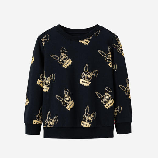 LEVIS 春 大童小童 卫衣 LVN-FW-H430 商品图4