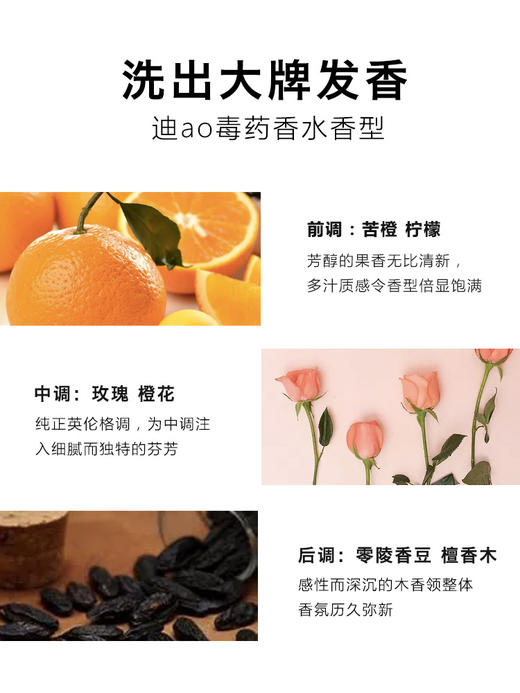 林肯洗发水去屑止痒控油蓬松持久留香味护发素沐浴露【任选2瓶】 商品图2
