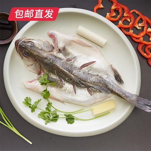 鲜到鲜得三去白蕉海鲈鱼 1050g（3条装）*2【包邮直发】（ZB） 商品图1