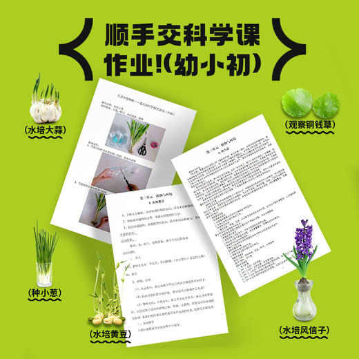 【懒人水培船】蔬果废料不要扔❗种菜养鱼两不误！ 商品图2