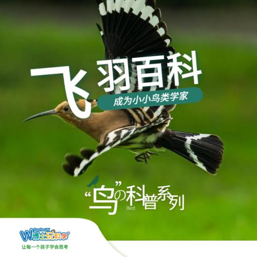 【北京】飞羽百科 商品图0