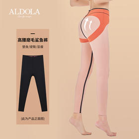 雅黛丽高腰提臀收腹紧身鲨鱼裤女保暖舒适外穿瑜伽运动打底裤芭比裤