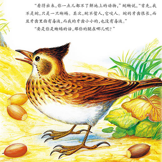 《大自然里的故事》：《原始针叶林里的鸟》《老树上的猫头鹰》《海边的森林猫》（共3册） 商品图12