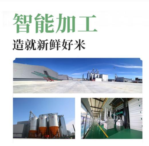 【双十一团购自提专属】北纬47度六水香东北长粒大米 5kg 商品图3