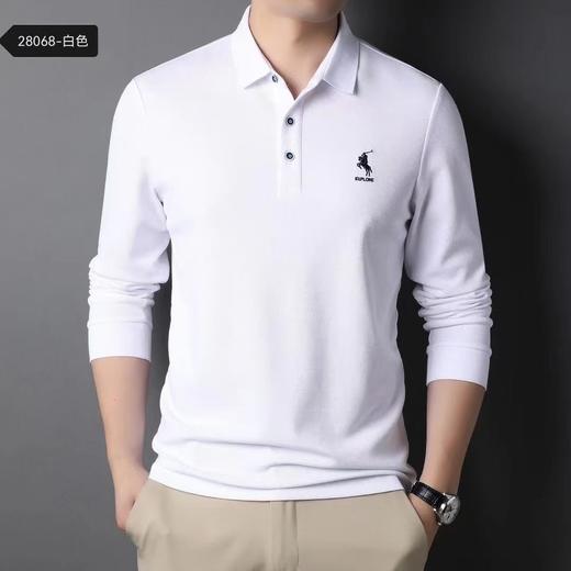 男反领长T28068 商品图2