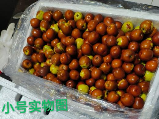 XZG-小蜜枣 6.3斤净果/箱～31.5元（大）, 6斤净果/箱～27元 （小） 商品图0