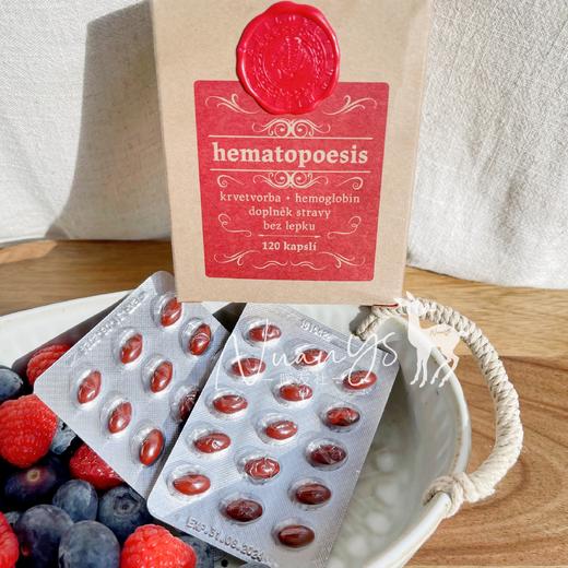 【千年传承 皿卟铁养气皿】造xue胶囊 120粒  捷克 圣希尔德佳德 商品图6