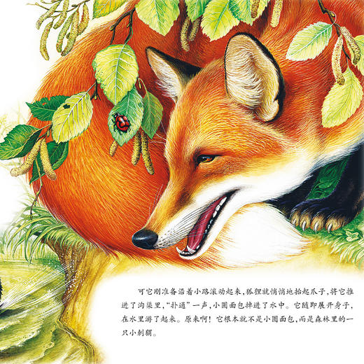 《大自然里的故事》：《原始针叶林里的鸟》《老树上的猫头鹰》《海边的森林猫》（共3册） 商品图8