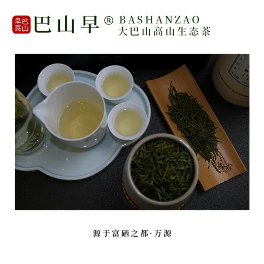 雀舌绿茶 精选雀舌 巴山早雀舌 高山生态绿茶150g袋装 商品图2