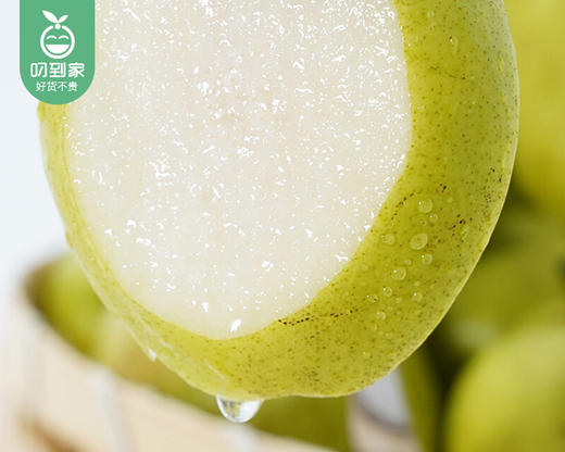 新疆库尔勒香梨（大果）/1份（1.5kg±50g）补单专用 商品图2