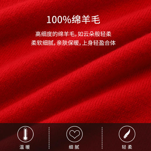 玳莎双圆领设计感套头针织衫女冬季新款优雅气质别致绣花毛衣 CD33312 商品图3