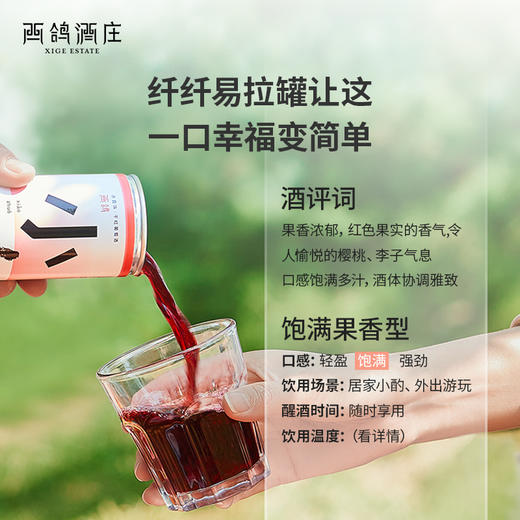 西鸽小酌（赤霞珠）干红葡萄酒 商品图5