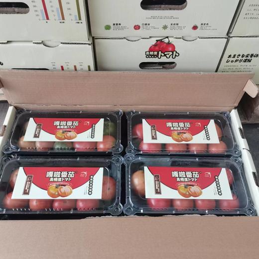 日本引种 嘎啦高糖番茄 商品图0