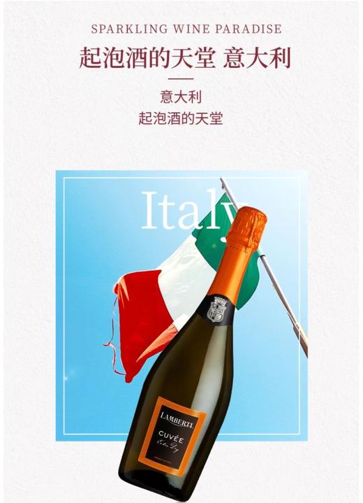 【中欧班列直供】意大利乐贝蒂绝干高泡白葡萄酒 750ml/瓶  原装进口 商品图2