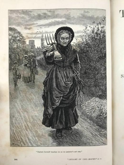 1881年 箭囊杂志 数百幅插图 漆布精装16开 商品图4