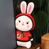 兔年吉祥物国潮兔子公仔毛绒玩具生肖兔玩偶儿童安抚娃娃活动礼品 商品缩略图5