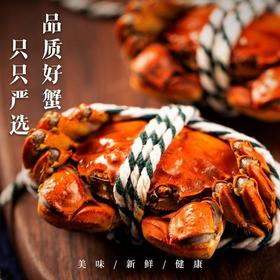兴化大闸蟹（礼盒）