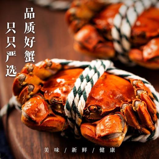 兴化大闸蟹（礼盒） 商品图0