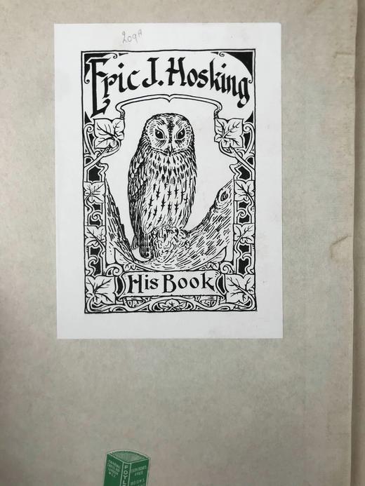 1904年 与俄国拉普兰德鸟类共处的三个夏天 68幅插图 漆布精装18开 商品图2