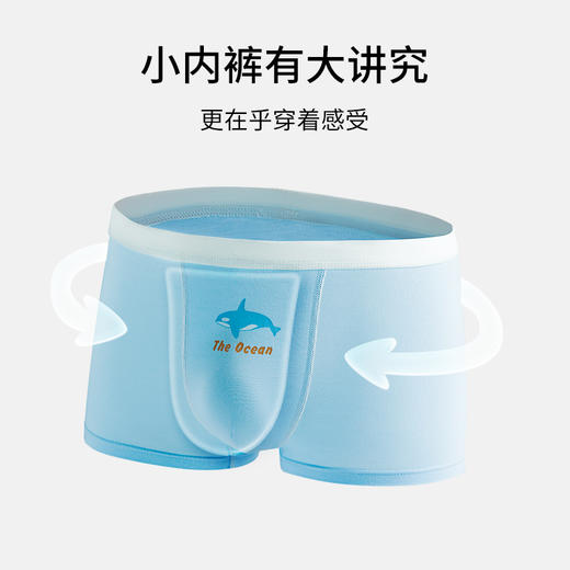 有棵树莫代尔男童内裤3条装E-C1001 商品图1