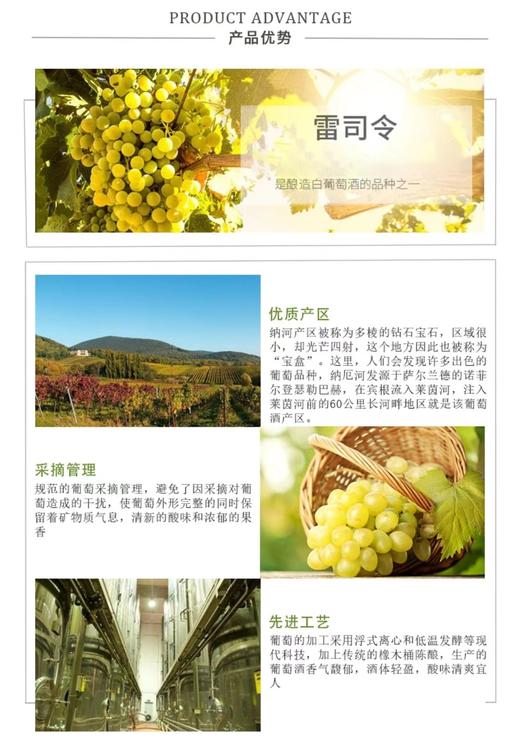 【中欧班列直供】德国葡萄酒 芮贝特雷司令半干珍藏白葡萄酒750ml /瓶  原装进口 商品图2
