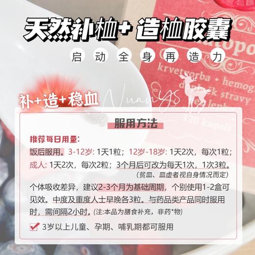 【千年传承 皿卟铁养气皿】造xue胶囊 120粒  捷克 圣希尔德佳德 商品图4