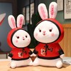 兔年吉祥物国潮兔子公仔毛绒玩具生肖兔玩偶儿童安抚娃娃活动礼品 商品缩略图4