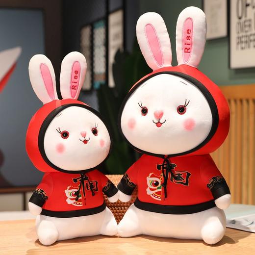 兔年吉祥物国潮兔子公仔毛绒玩具生肖兔玩偶儿童安抚娃娃活动礼品 商品图4