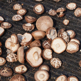 馆长推荐 | 山阳县十里铺镇王庄村香菇 500g