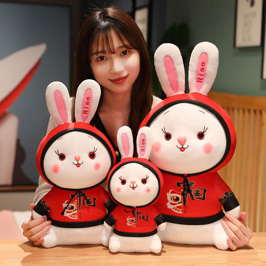 兔年吉祥物国潮兔子公仔毛绒玩具生肖兔玩偶儿童安抚娃娃活动礼品 商品图6
