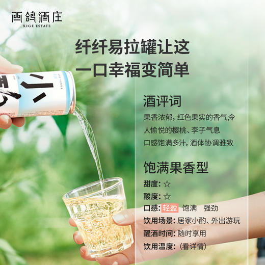 西鸽小酌（霞多丽）干白葡萄酒 商品图5
