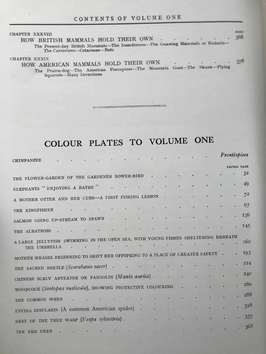 约20世纪初 新版自然史（全3卷） 数千幅插图 真皮精装16开 商品图5