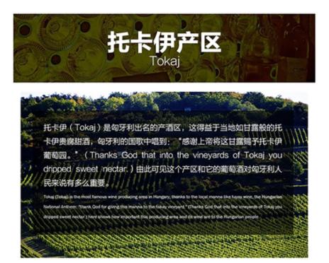 【中欧班列直供】匈牙利进口 托卡伊阿尔帕德大贵腐葡萄酒500ml/瓶  原装进口 商品图6