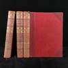 约20世纪初 新版自然史（全3卷） 数千幅插图 真皮精装16开 商品缩略图0