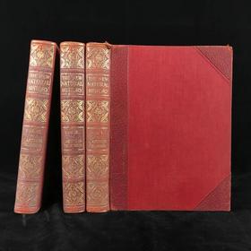 约20世纪初 新版自然史（全3卷） 数千幅插图 真皮精装16开