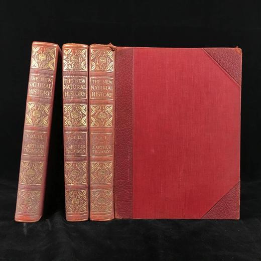 约20世纪初 新版自然史（全3卷） 数千幅插图 真皮精装16开 商品图0