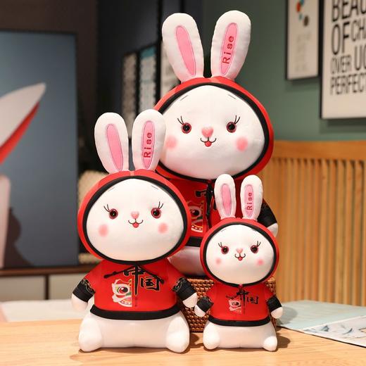 兔年吉祥物国潮兔子公仔毛绒玩具生肖兔玩偶儿童安抚娃娃活动礼品 商品图2