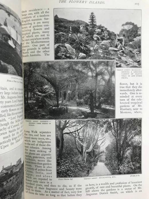 1897年1-6月 河滨杂志 数百幅插图 漆布精装18开 商品图7