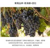 【中欧班列直供】 法国芮贝特罗纳河谷法定产区葡萄酒 750ml/瓶  原装进口 商品缩略图3