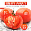 【绿行者】桃太郎番茄5斤 商品缩略图4