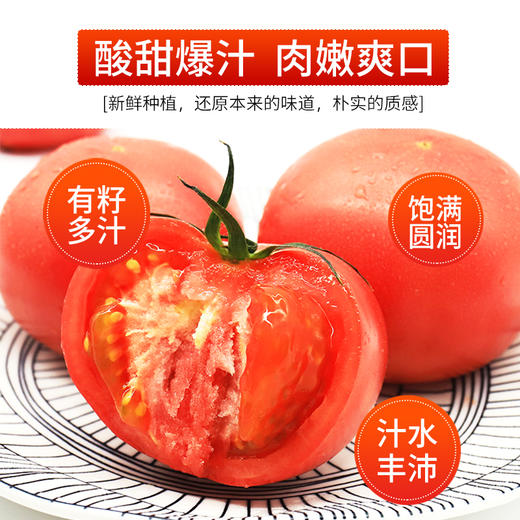 【绿行者】桃太郎番茄5斤 商品图4