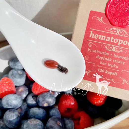 【千年传承 皿卟铁养气皿】造xue胶囊 120粒  捷克 圣希尔德佳德 商品图3