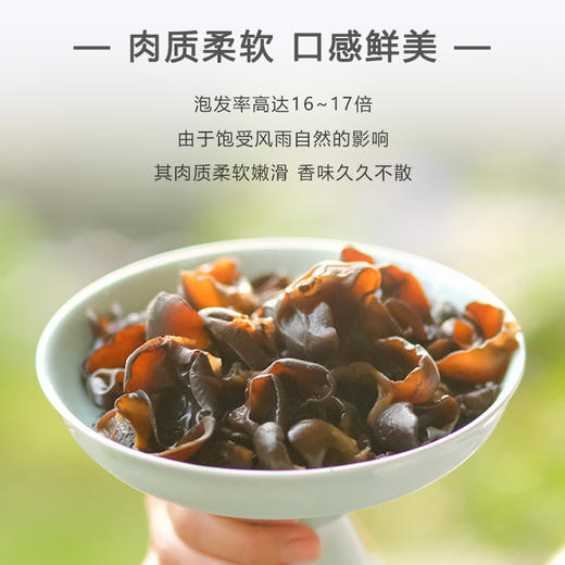 【秦岭野外生长干木耳 | 青川秋耳】秦岭大巴山深处自然生长 肉质鲜嫩口感顺滑 轻薄不压秤 约17倍泡发率 商品图4