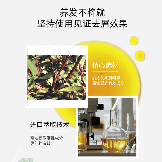 墨缔姿莫朗果小黄姜加宁桉袋鼠花去屑滋养控油洗发水护发素沐浴露【任选2件】 商品图1