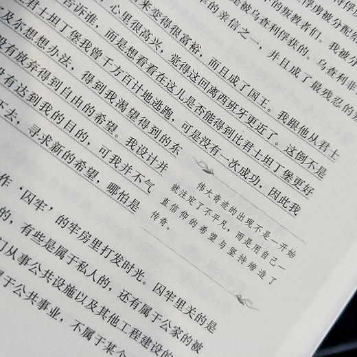 (仓发) 堂吉诃德经典名著 大家名译（ 无障碍阅读 全译本平装）（新版 套装上下册）/商务印书馆/[西]塞万提斯/978710011023501 商品图2