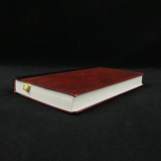 毛姆《剧院风情》 雅尼娜·埃德精美插图 复古真皮脊精装32开 商品图1