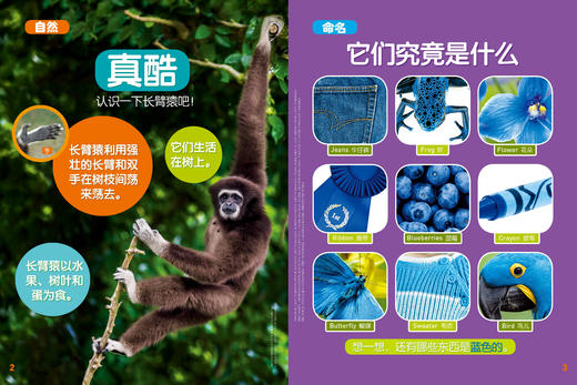 预售  2023年《环球少年地理》幼儿版+动物总动员杂志 商品图1