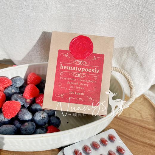 【千年传承 皿卟铁养气皿】造xue胶囊 120粒  捷克 圣希尔德佳德 商品图2