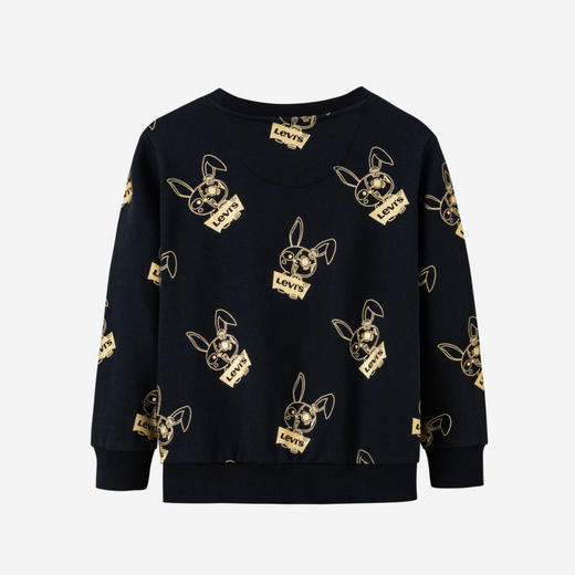 LEVIS 春 大童小童 卫衣 LVN-FW-H430 商品图1